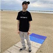 Studente universitario 4 anno di CTF a Camerino offre ripetizioni in Chimica, Matematica e Anatomia